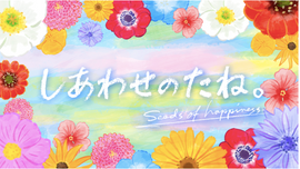 テレビ朝日「しあわせのタネ」に出演しました